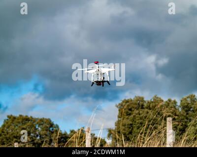 A drone in motion flying in forest in the cloudy sky and trees near Stock Photo