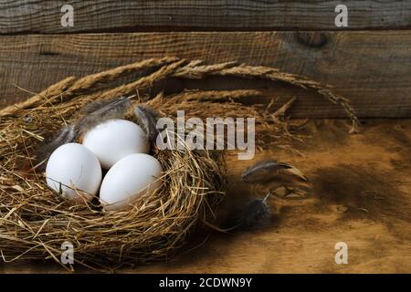 Chicken eggs with feathers in a nest of hay on a wooden background. Selective focus. Stock Photo