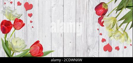 Beautiful spring frame with red and yellow-white tulips and hearts on white wooden background
