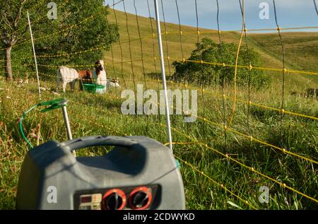 Electricity-operated aggregate supplies yellow pasture fence with energy, two goats stand in front of a trough, green meadow and high hill. Germany, S Stock Photo