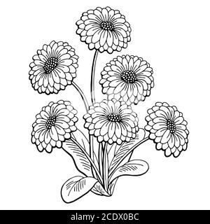 daisy flower clip art black white