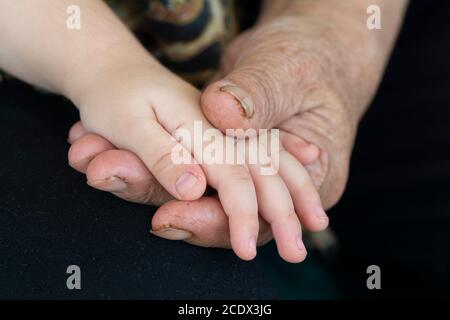 Young vs old concept, detail shot of an old grandparent hand holding a younger hand in front of dark background Stock Photo