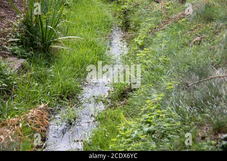 small stream flows through a notched green area and glitters in the light Stock Photo