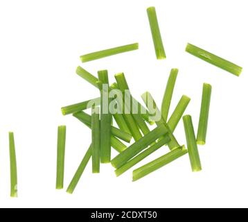 Green onion Stock Photo