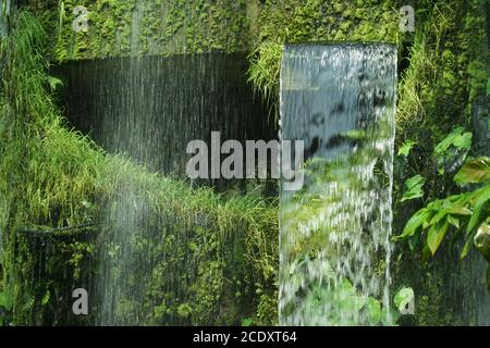 Waterfall in the jungle was dense Stock Photo