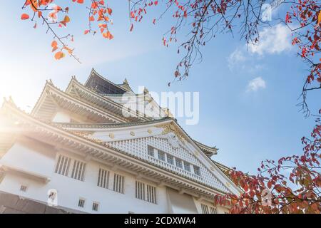 Osaka Castle in autumn,Japan Stock Photo