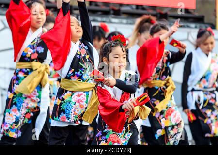Little child, girl, 8-9 year old, yosakoi dancer, dancing in front of team while holding naruko, wooden clappers, at the Kyusyu Gassai festival, Japan