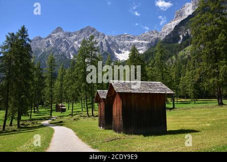 Walk in the woods in Val Fiscalina Stock Photo