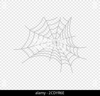 Creepy spider web over transparent background. Stock Vector