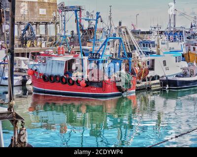 Fishing fleet at Portavogie harbour in Northern Ireland Stock Photo