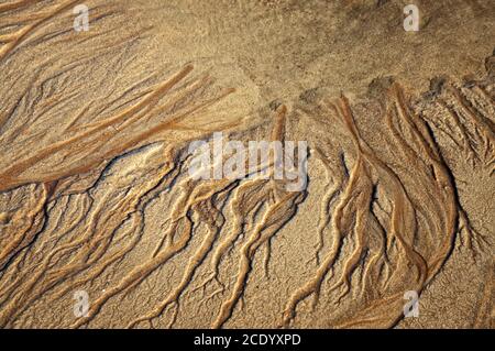 Western Australia – nature art structures at a sandy beach at low tide with water channels as top view in the morning sun Stock Photo