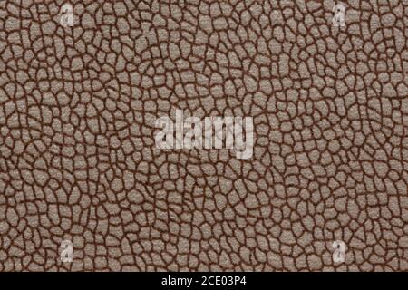 Contrast ornamental textile background. High quality texture in extremely high resolution. Stock Photo