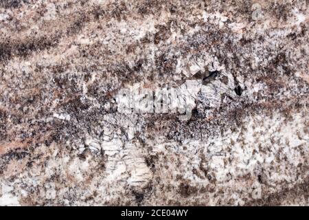 New granite background in admirable dark grey tone as part of your interior. High quality texture. Stock Photo