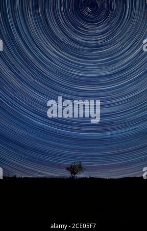 Digital composite image of star trails around Polaris with Beautiful Autumn Fall landscape countryside image of lone tree and stone wall Stock Photo