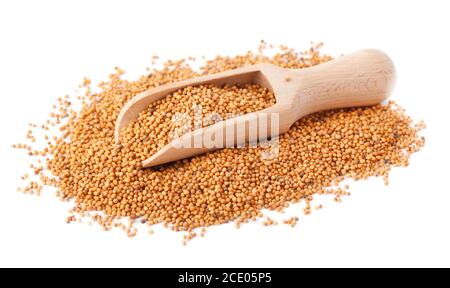 Mustard isolated on white. Mustard seeds in wooden scoop spoon isolated on white background. Mustard seeds in wooden scoop Stock Photo