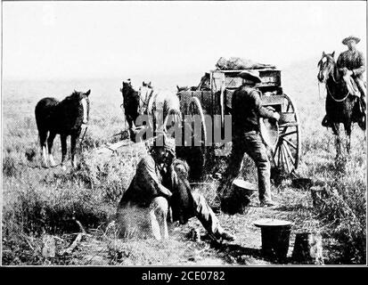 . Roosevelt in the Bad Lands . THE MALTESE CROSS OUTFIT. THE MALTESE CROSS CHUCK-WAGON The man on horseback is Sylvane Ferris; the man loading thewagon is Waher Watterson, Roosevelts teamster and cook THE FIRST ENCAMPMENT 277 and Ben Butler became that broncos name.Roosevelt had occasion to remember it. The encampment where the round-up was tobegin furnished a scene of bustle and turmoil.From here and there the heavy four-horse wagonsone after another jolted in, the horse-wranglers rushing madly to and fro in the endeavor to keepthe different saddle bands from mingling. Singleriders, in groups Stock Photo