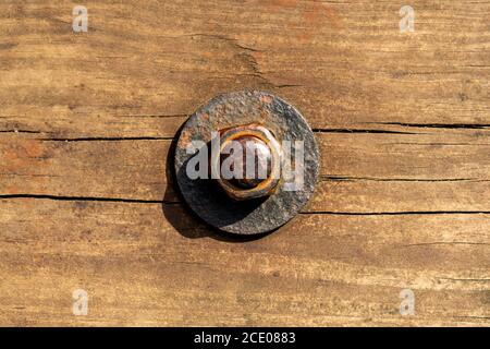 Rusty corroded nut with washer on a threaded bolt on an old cracked worn wooden board. Close up. Copy space Stock Photo