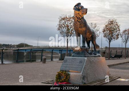 The Bamse Statue is a memorial to the dog Bamse which became a heroic mascot to the Free Norwegian Forces during the Second World War. Stock Photo