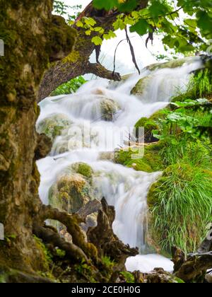 National park Plitvice lakes in Croatia Europe water flowing waterflow waterfall scenic scenery small cascading flowing river creek Stock Photo