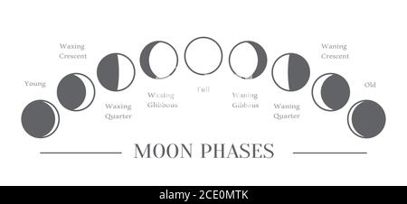 Moon phases. The whole cycle from new moon to full moon. Vector Stock Vector