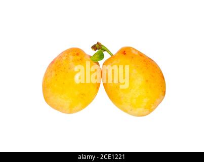 Plums isolated on White Background. Juicy yellow plums heap close up. Stock Photo