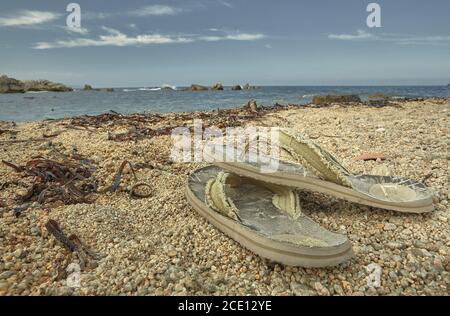 The solitude of a paradisiacal beach Stock Photo