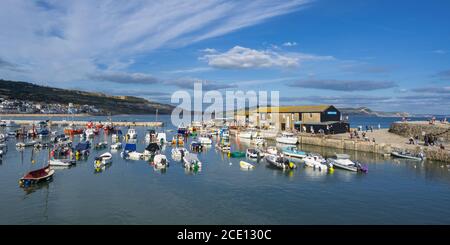 Lyme Regis, Dorset, UK. 30th August 2020. UK Weather: the Cobb and harbour at Lyme Regis is bathed in later afternoon sunshine. Credit: Celia McMahon/Alamy Live News. Stock Photo