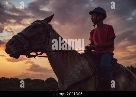 Light Silhouette From a Man Sitting on a Horse and Gazing the Sky. Ranch Concept Photography Stock Photo