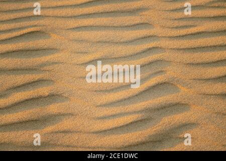 Abstract view of natural sand dune formation at the beach. Curly sand wave pattern closeup. Beautiful sandy background. Nobody Stock Photo