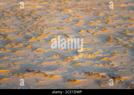 Abstract view of natural sand dune formation at the beach. Curly sand wave pattern closeup. Beautiful sandy background. Nobody Stock Photo