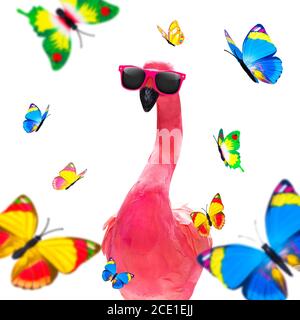 summer paradise vacation flamingo Stock Photo