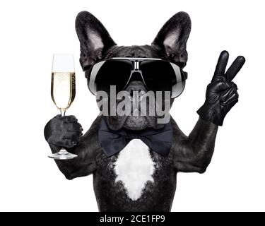 Cute pug dog with Christmas glasses isolated on white background Stock ...