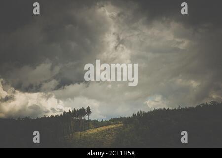 Lovely forest covered hills with stormy clouds over them (color toned image) Stock Photo