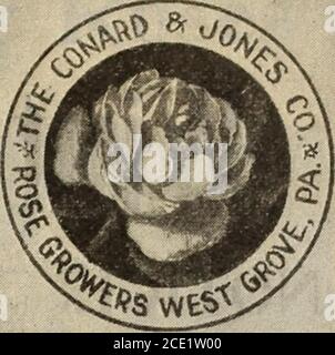 . New floral guide : autumn 1905 . Stock Photo