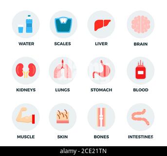 Set of water, weights and human body parts vector illustration in a flat design. Stock Vector