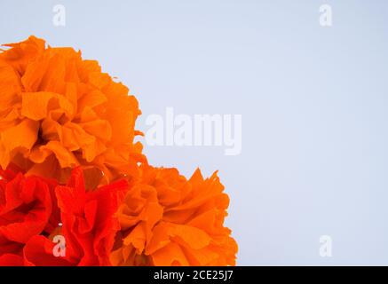 Orange flowers made out crepe paper, used in the festivity of dia de los muertos in Latin America Stock Photo