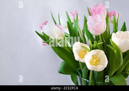 Bouquet of delicate white and pink tulips in vase on blurred bright background, still life, copy space Stock Photo