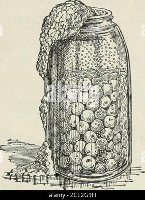 . Applied physiology : including the effects of alcohol and narcotics . nces, and causesthem to shrivel up. It hardensalbumin, just as heat hardens thewhite of an egg. Because it hard-ens substances and takes away theirwater, it is used to keep things fromdecaying. It is used for dissolvingmany things which water wouldnot affect; and from it ether,chloroform, and numberless otheruseful things are made. It is a very valuable article, andmanufacturers and chemists could not do without it. Butman has learned that its taste gives him pleasure, andthat the feelings which result are often very pleas Stock Photo