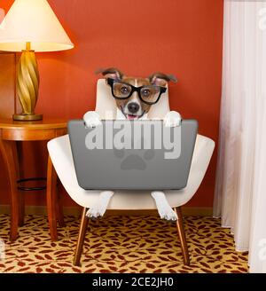 dog with laptop pc computer Stock Photo
