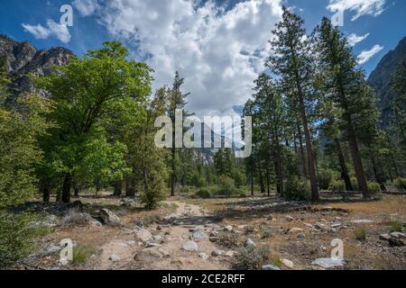 zumwalt meadow in kings canyon national park in the usa Stock Photo