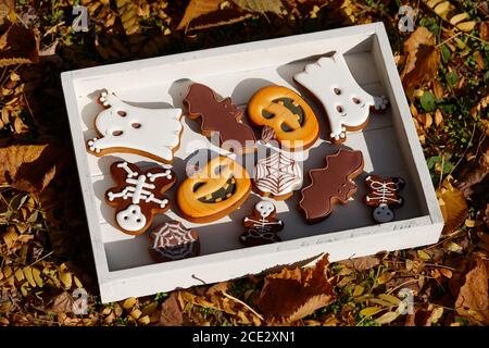 Halloween gingerbread biscuits in wooden tray on autumn leaves background Stock Photo