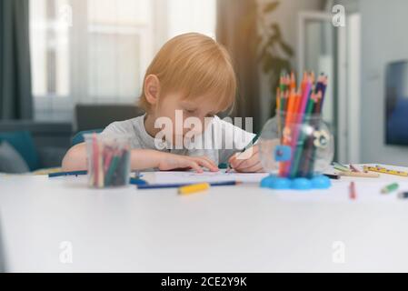 Distance learning online education. A schoolboy boy studies at home and does school homework. A home distance learning during pandemic situation of co Stock Photo