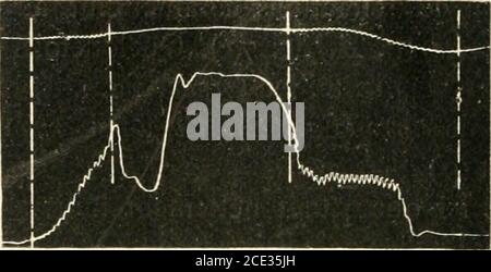 Francais Deux Etudes De La Tete D Un Chat Esquisse D Un Renard De Profil 15th Century 1005 Pisanello Codex Vallardi 2418 Stock Photo Alamy