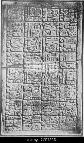 . An introduction to the study of the Maya hieroglyphs . her two head-variant numerals, whosevalues are known to be 12. These three head nmnerals are shownside by side in figure 52, t-^, t being the form in A3 above, insertedin this figure for the sake of comparison. Although these three headsshow no single element or characteristic that is present in all (see p.100), each is very similar to the other two and at the same time isdissimilar from all other head-variant numerals. This fact warrantsthe conclusion that the head in A3 represents the nimeral 12, and ifthis is so the starting point of Stock Photo