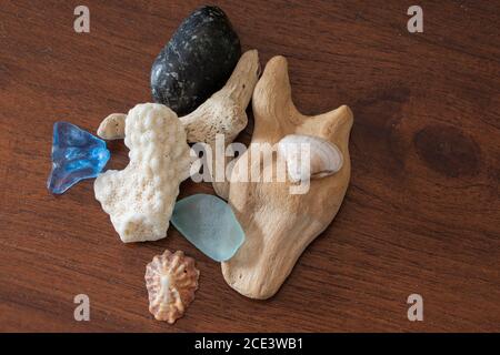 Treasured artifacts gathered from seashore adventures arranged on a wood table Stock Photo