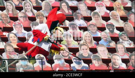 St. Louis Cardinals mascot Fredbird, top, high-fives a group of elementary  school children after they sang the national anthem prior to a baseball  game between the Cardinals and the Detroit Tigers, Sunday