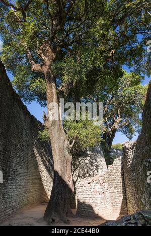 Great Zimbabwe ruins, main structure 'the Great Enclosure', ancient capital of Bantu civilization, Masvingo Province, Zimbabwe, Africa Stock Photo