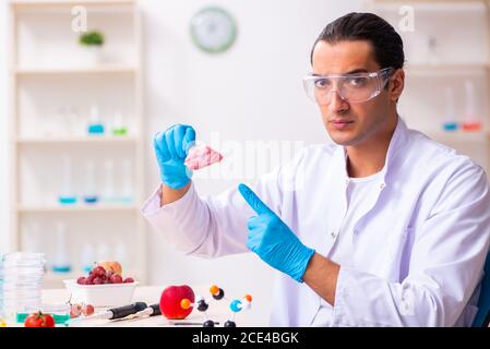 Young nutrition expert testing food products in lab Stock Photo