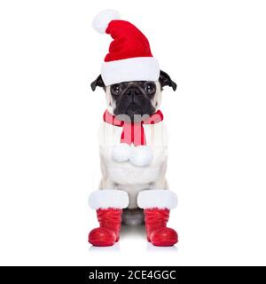 santa claus dog Stock Photo