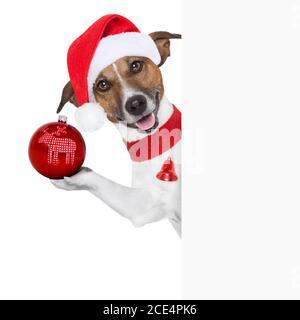 hello goodbye christmas  dog Stock Photo